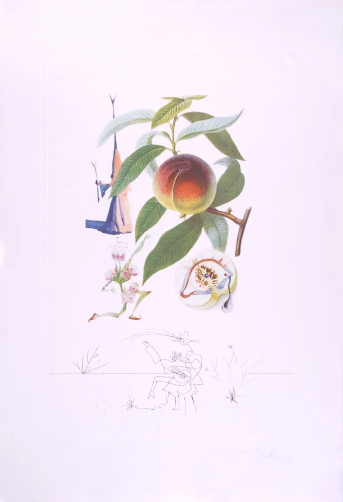 Droge Naald Dali - Pécheur pénitent - Peach (Suite Flordali Les Fruits)