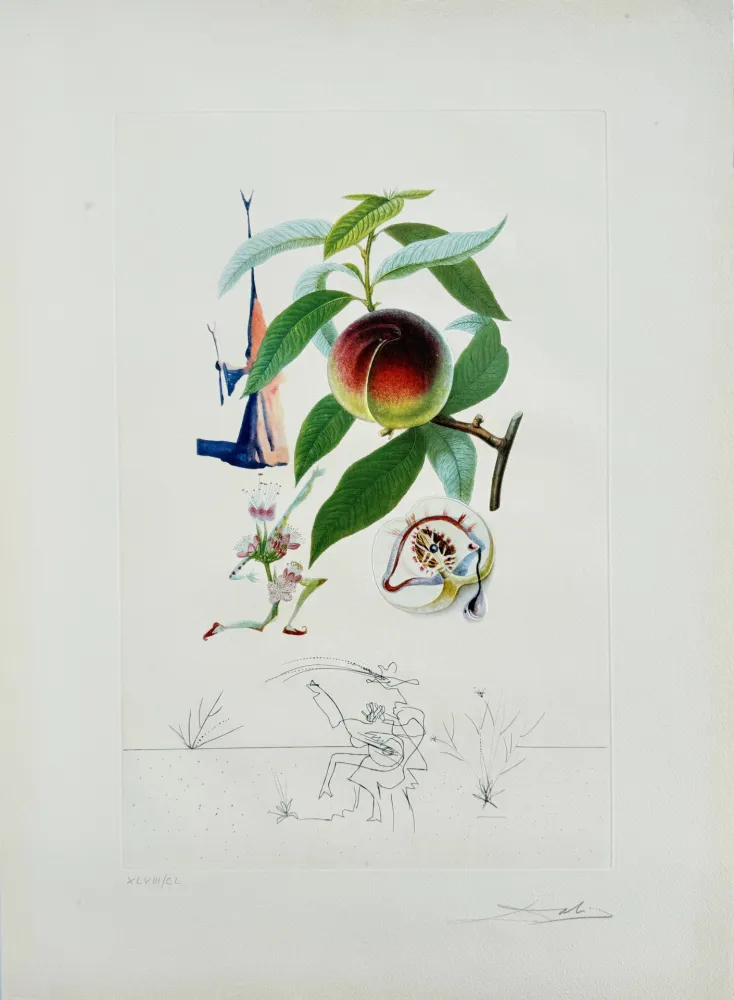 Lithografie Dali - Penitent Peach-tree from Flordali suite