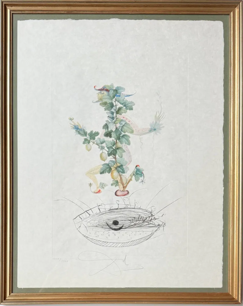 Lithografie Dali - Révérence du groseillier (Curtsying Gooseberry Bush)