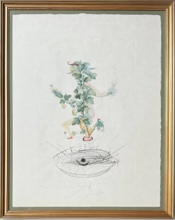 Lithografie Dali - Révérence du groseillier (Curtsying Gooseberry Bush)