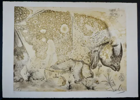 Gravure Dali - Rhinoceros