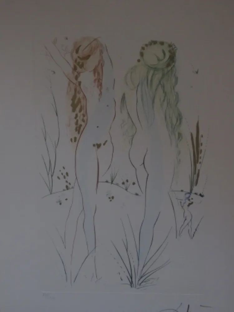 Ets En Aquatint Dali - Sans titre