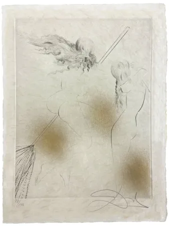 Droge Naald Dali - Sorciere au balai