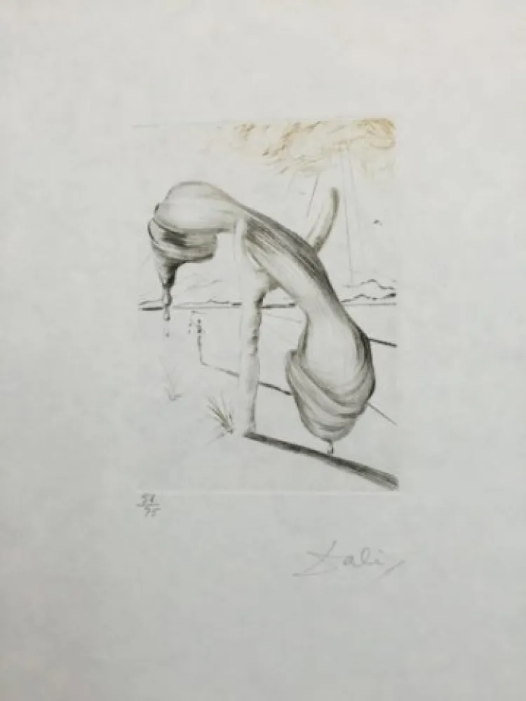 Droge Naald Dali - Teléphone Mou