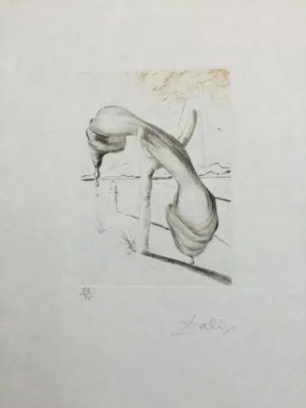 Droge Naald Dali - Teléphone Mou