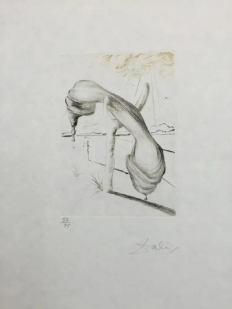 Ets En Aquatint Dali - Telephone mou
