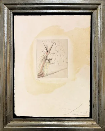Droge Naald Dali - The Illusionist