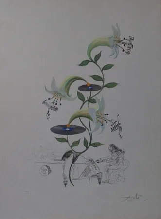 Gravure Dali - The Lily - Lilium Musicum