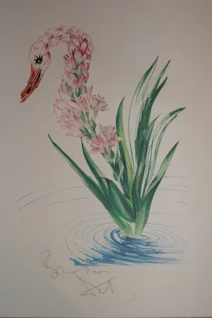 Lithografie Dali - Water-Hybiscus Swan (surrealistic flowers)