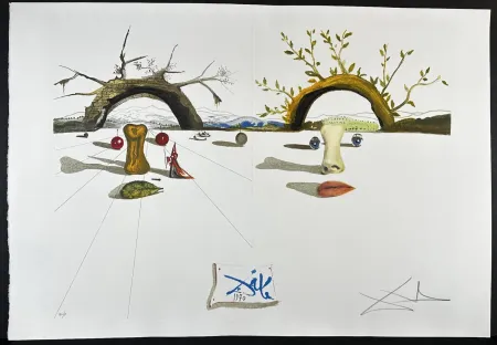 Gravure Dali - Winter Summer