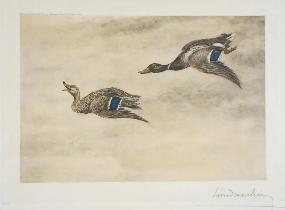 Ets Danchin - 06 Canards de passage - Two passing Ducks (Original)