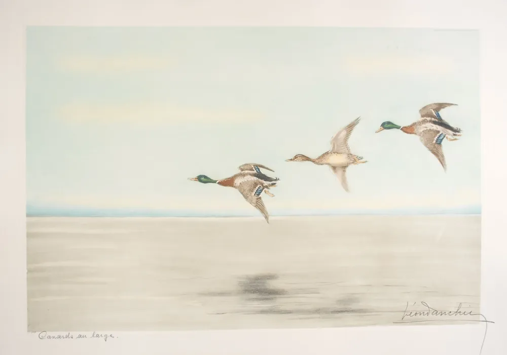 Ets Danchin - 12 Canards au large - Three Ducks flying (Original)