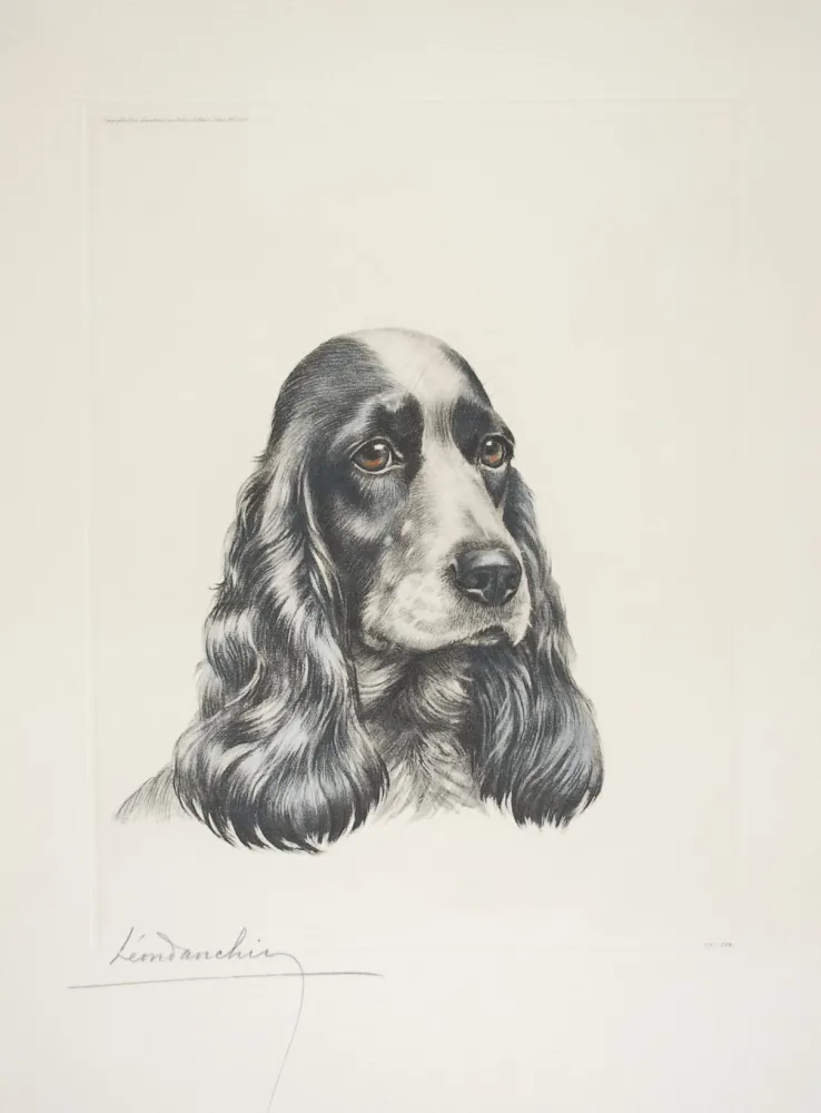 Ets Danchin - 23 Tête de Cocker femelle - Black and white Cocker Spaniel head (Original)