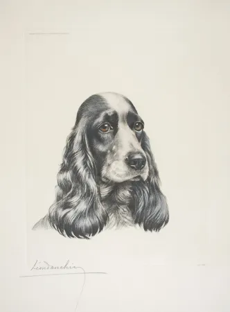 Ets Danchin - 23 Tête de Cocker femelle - Black and white Cocker Spaniel head (Original)