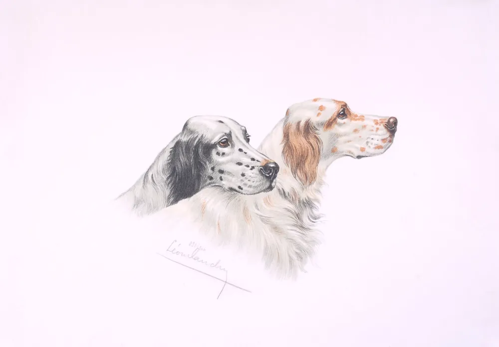Lithografie Danchin - Deux têtes de Setters - Two Setters heads (Original)