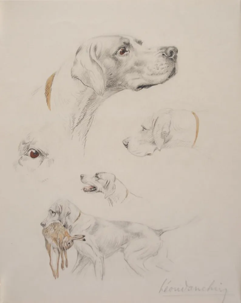 Geen Techniek Danchin - Etude de pointer