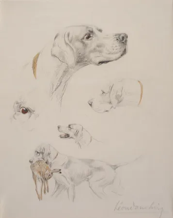 Geen Techniek Danchin - Etude de pointer