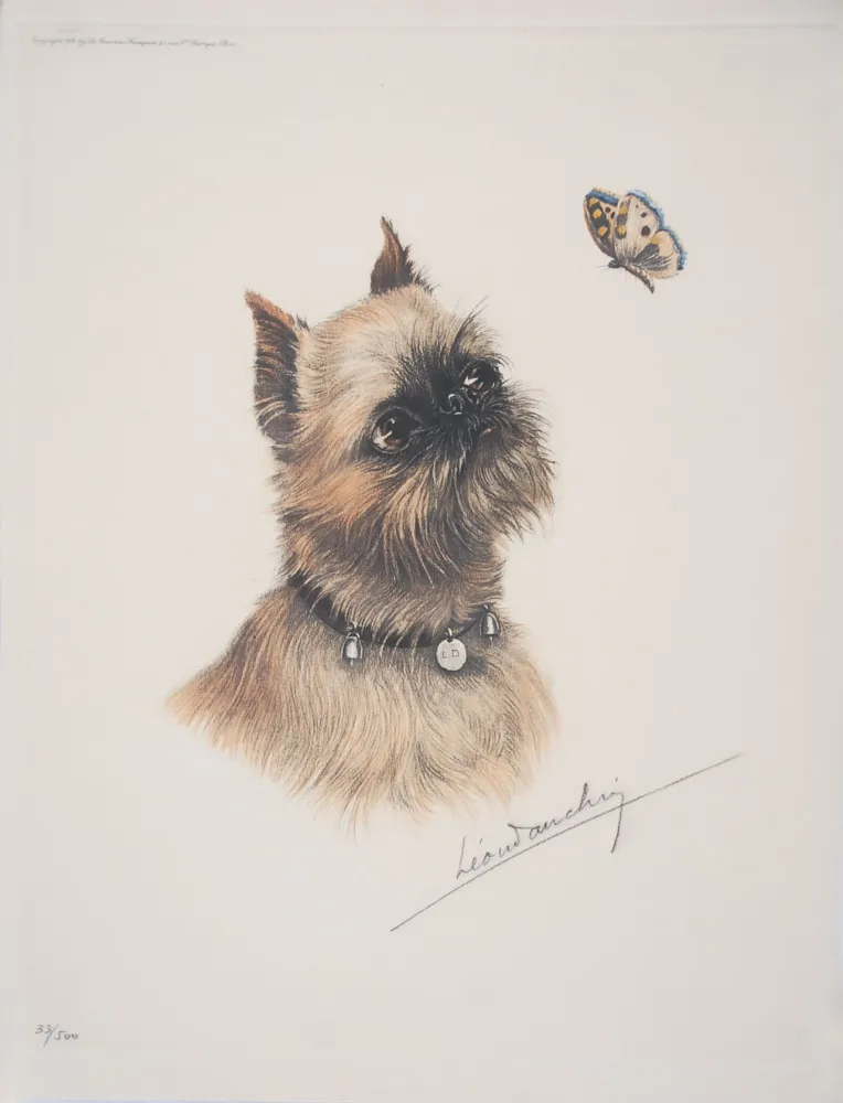 Ets Danchin - Griffon Bruxellois et papillon - Brussel Griffon and butterfly