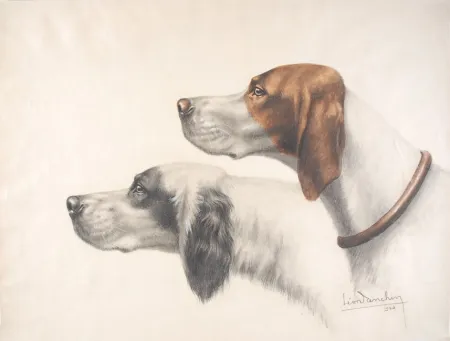 Geen Techniek Danchin - Setter Anglais et Braque Français