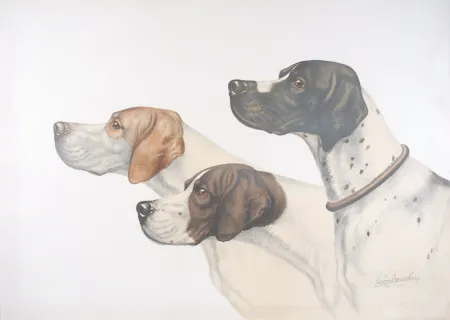 Lithografie Danchin - Three Pointer head - Trois têtes de Pointer (Original)