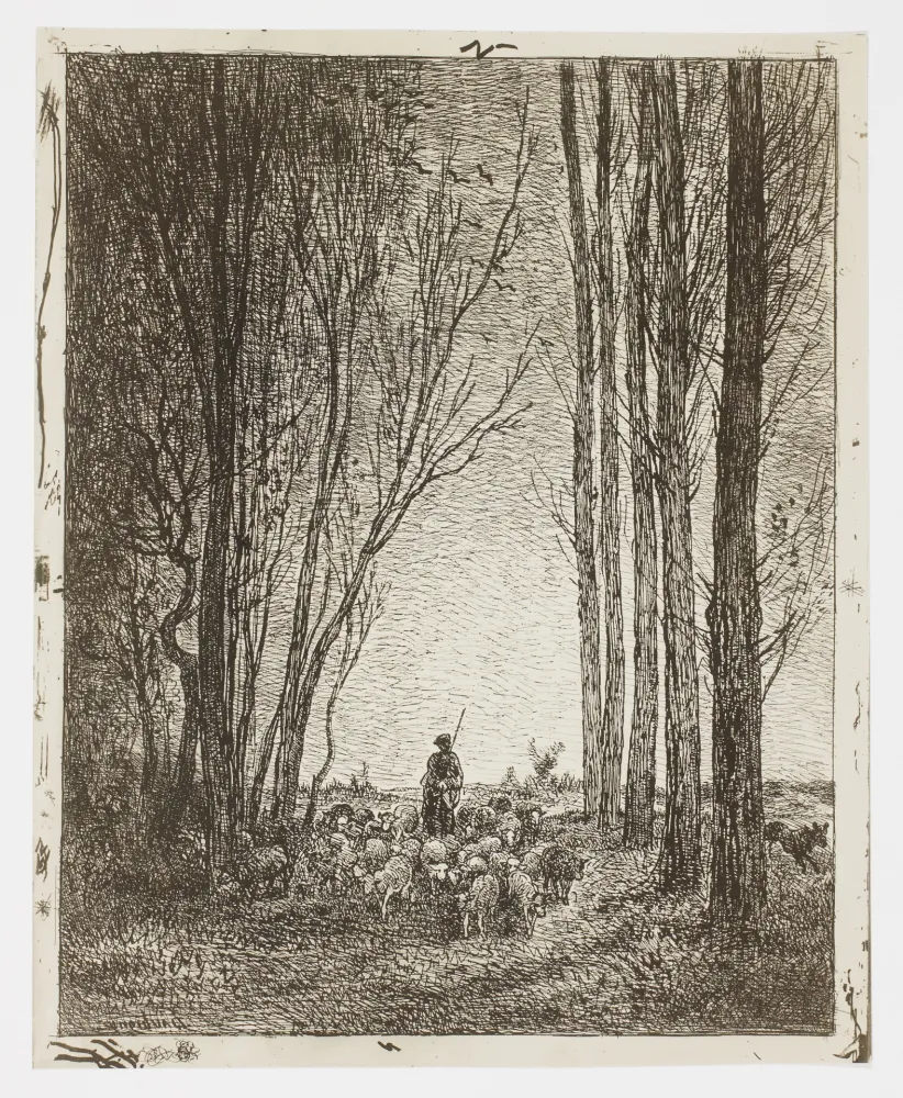 Geen Techniek Daubigny - La Rentrée du Troupeau (Return of the Flock)