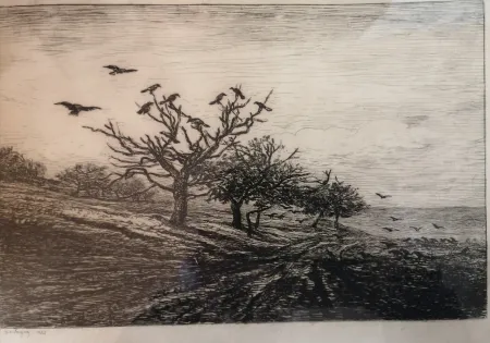 Ets Daubigny - L'arbre aux corbeaux