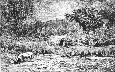 Ets Daubigny - Le cochon dans un verger