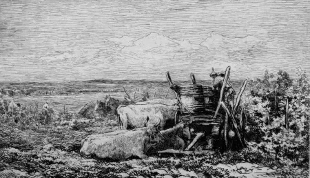 Ets Daubigny - Les vendanges. (Souvenir du Morvan)