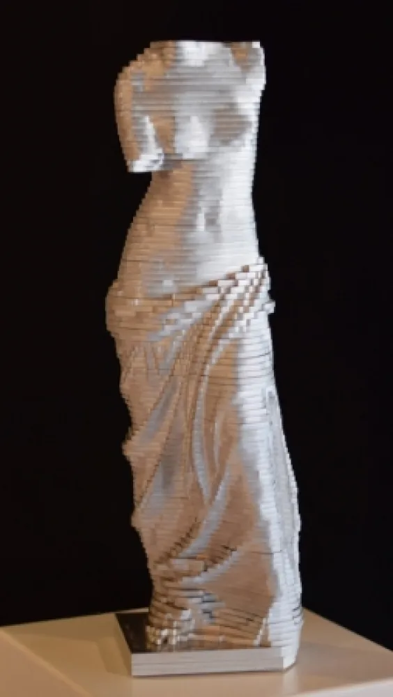 Geen Techniek David - Small Vénus