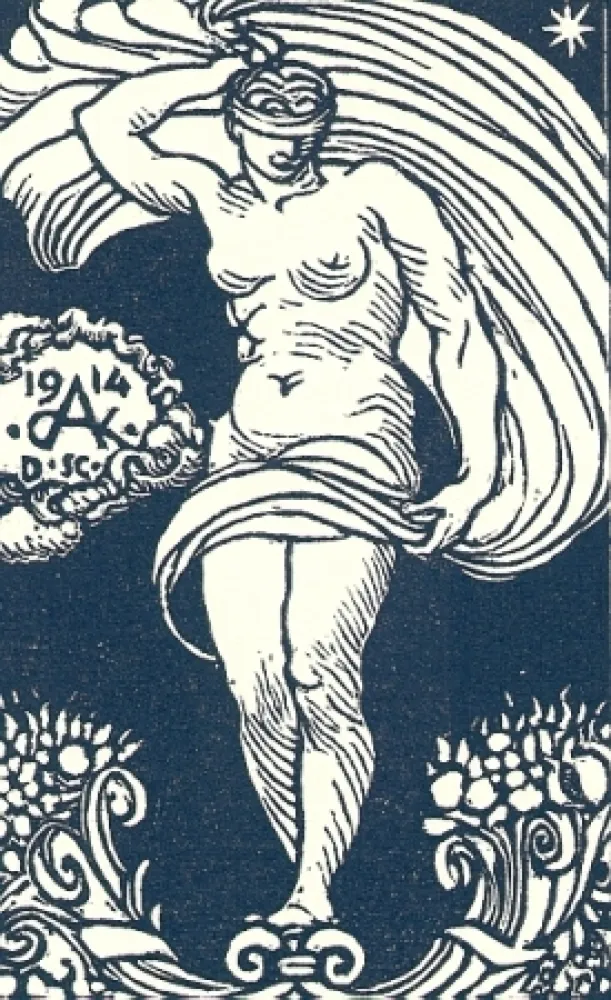 Geïllustreerd Boek De Carolis - Le carte da gioco