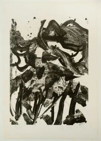 Lithografie De Kooning - The Marshes