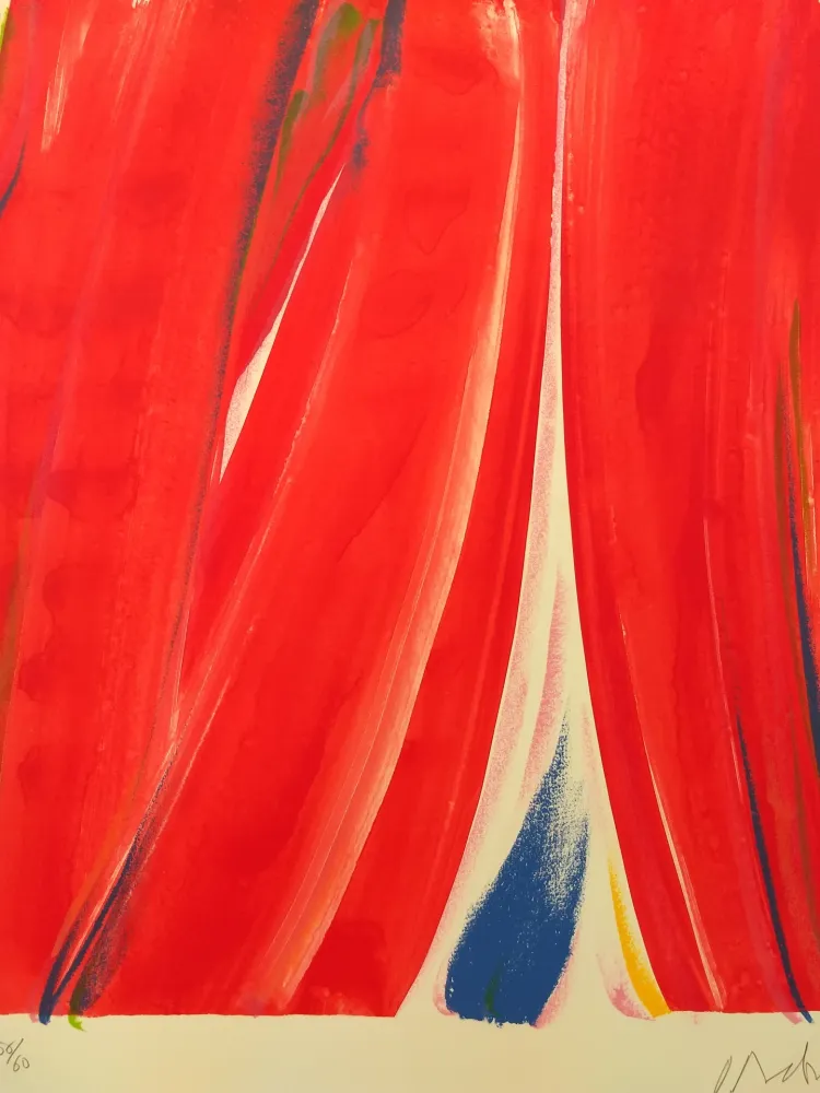 Lithografie Debré - 56/60