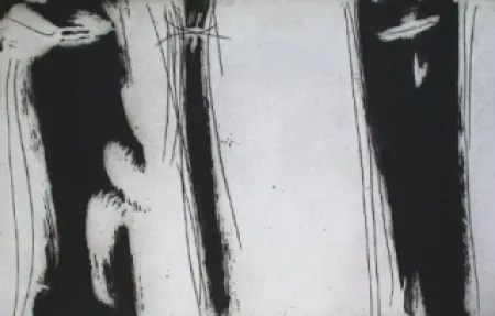 Geïllustreerd Boek Debré - Bâtir à chaud et à sable