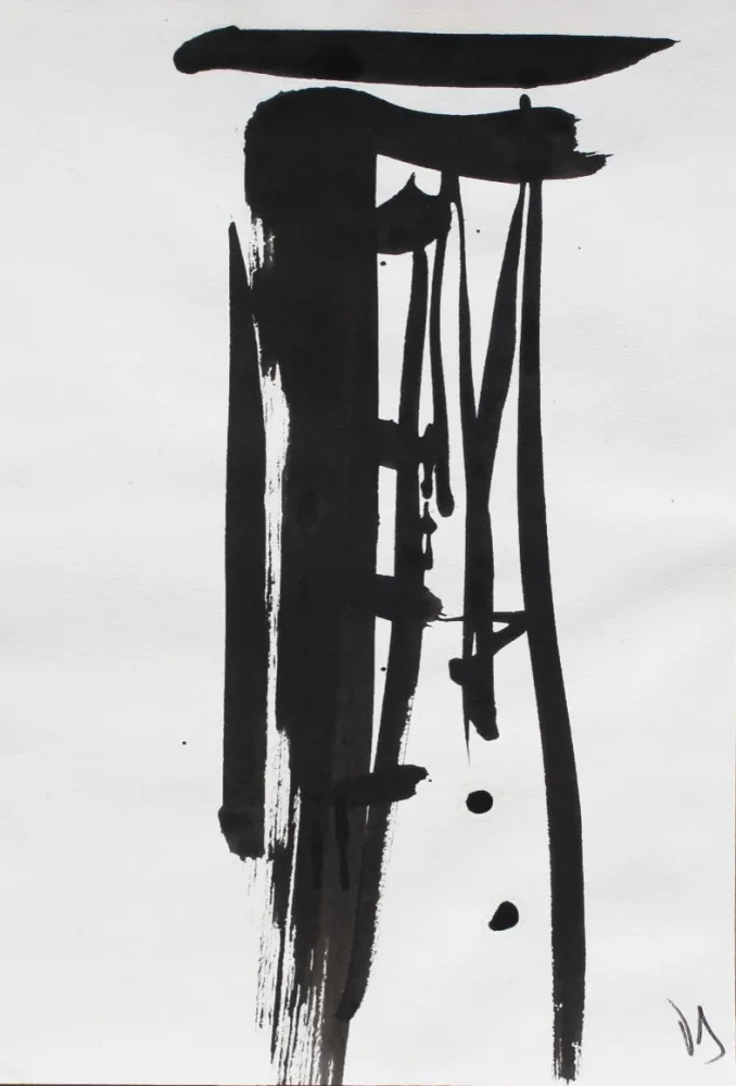 Geen Techniek Debré - Signe 1