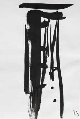 Geen Techniek Debré - Signe 1