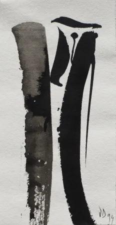 Geen Techniek Debré - Signe