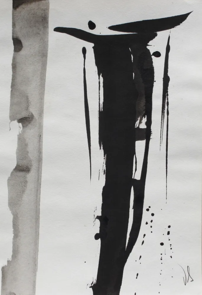 Geen Techniek Debré - Signe 2