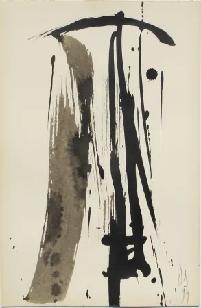 Geen Techniek Debré - Signe 2