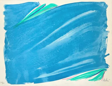 Lithografie Debré - Signe-Paysage 