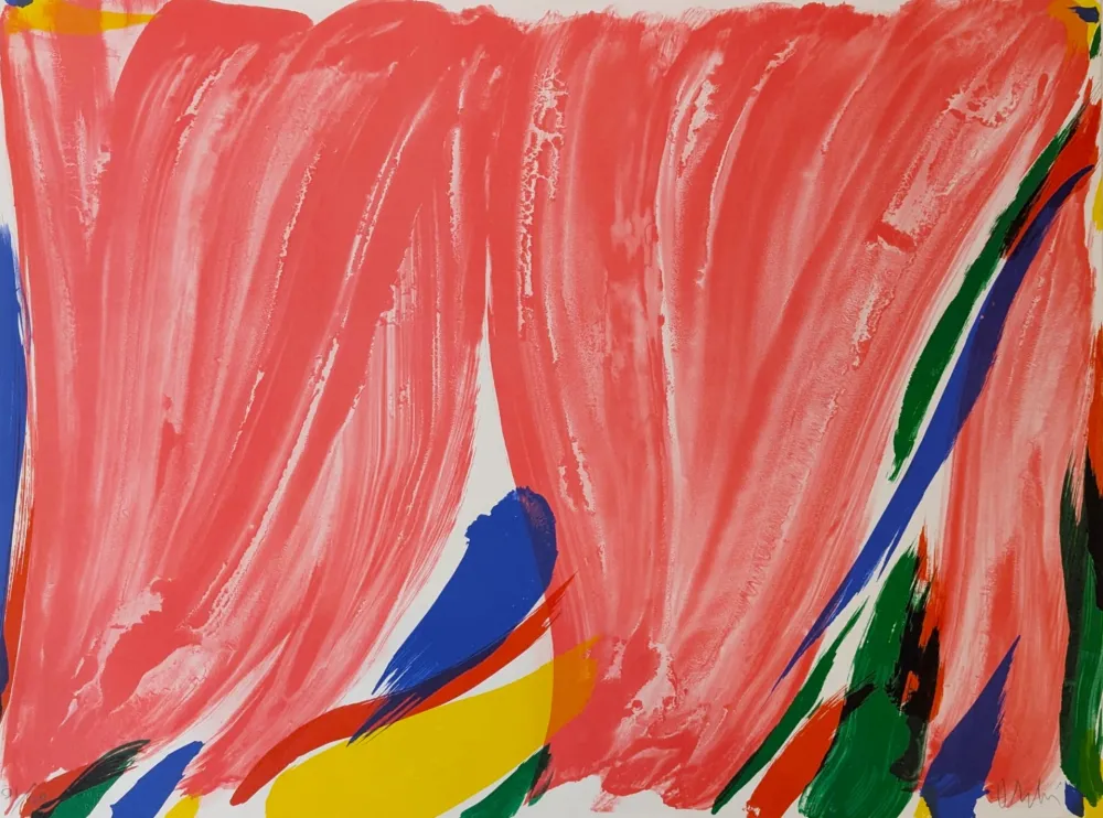 Lithografie Debré - Signe-paysage 