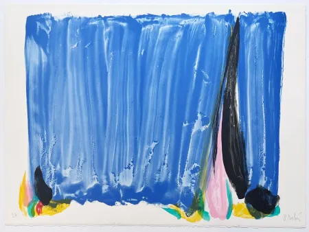 Lithografie Debré - Signe-Paysage Loire 