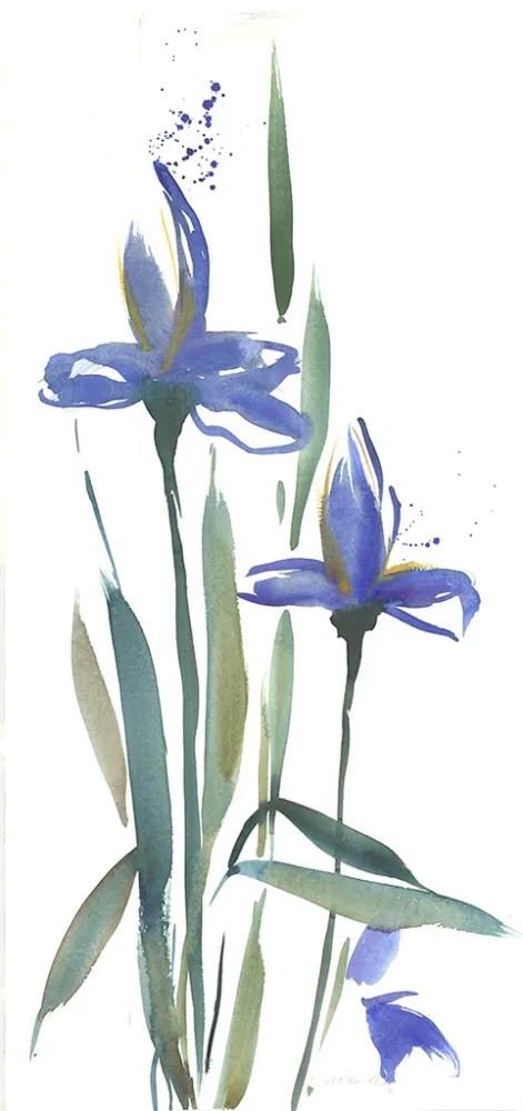 Geen Techniek Decker-Kern - Iris