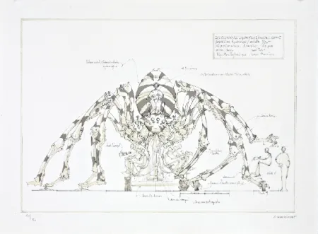 Lithografie Delarozière - L'araignée géante