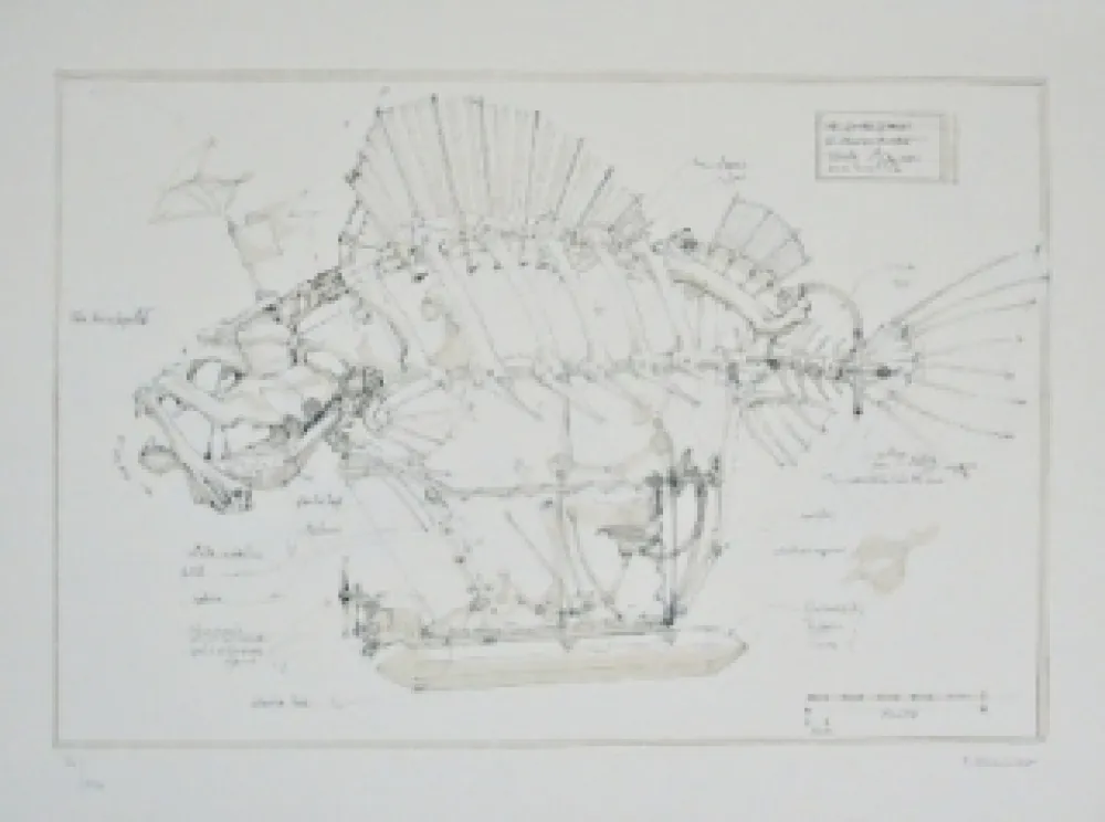 Lithografie Delarozière - Le Poisson Pirate
