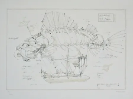 Lithografie Delarozière - Le Poisson Pirate