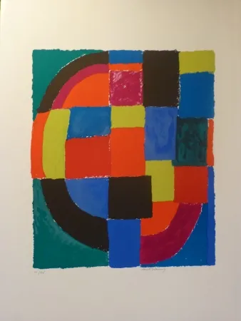 Lithografie Delaunay - Guépard 