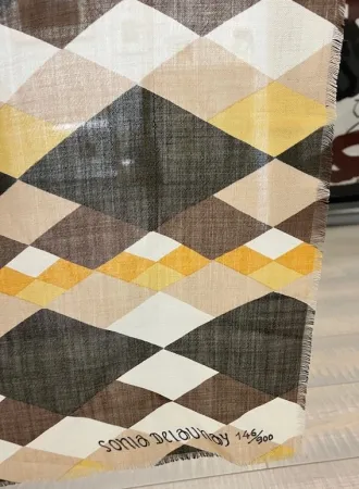 Geen Techniek Delaunay - Sin titulo