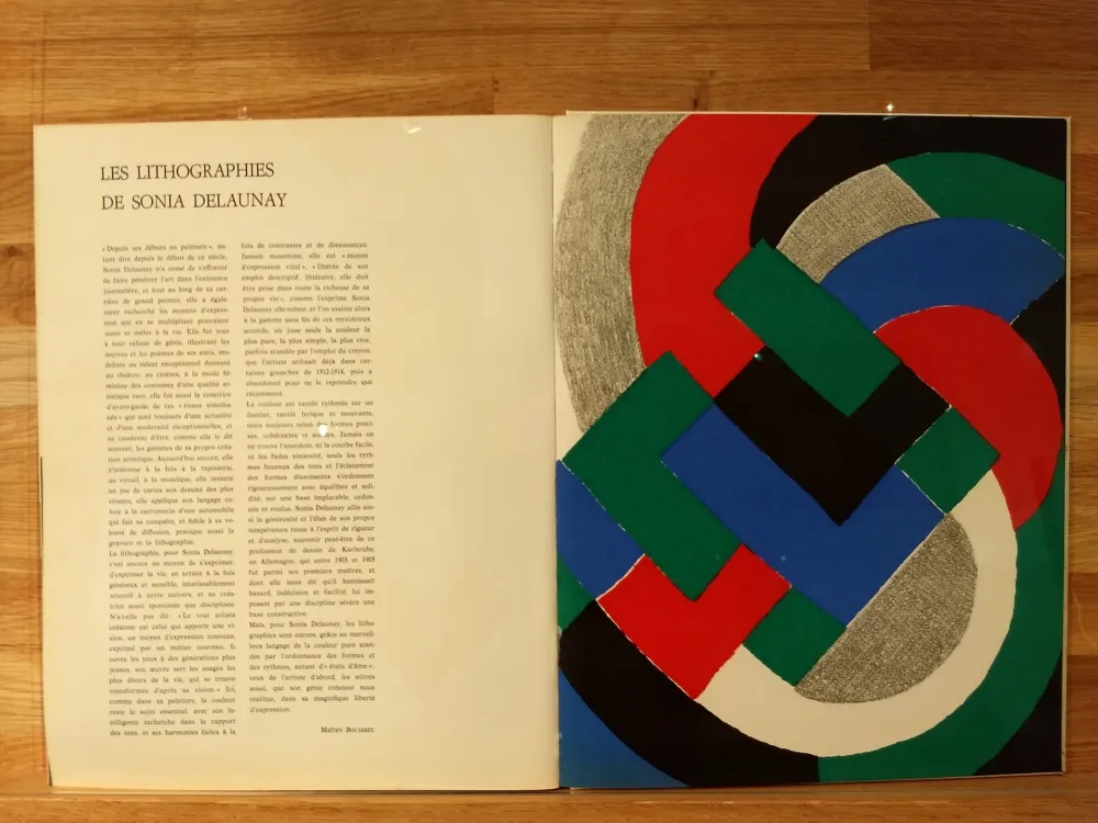 Geïllustreerd Boek Delaunay - Xxe No32