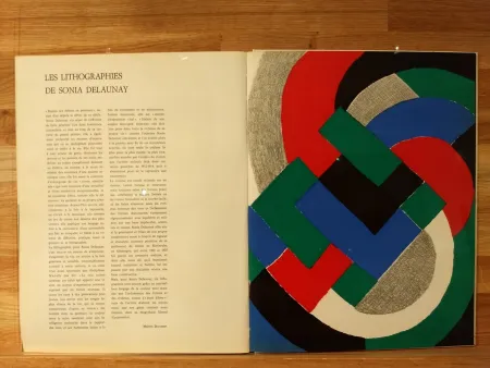 Geïllustreerd Boek Delaunay - Xxe No32