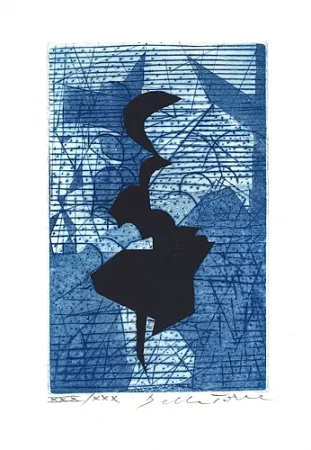 Geïllustreerd Boek Della Torre - Sui bordi dell'impossibile